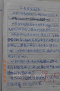 三年级作文家乡的大海 三年级关于大海的作文500字4篇