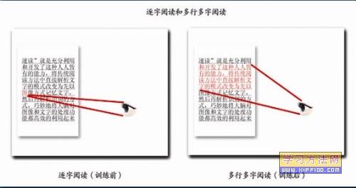 台湾杨氏速读 台湾速读达人的快速阅读训练心得