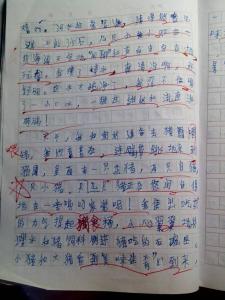 干家务活的作文 关于一项家务活的作文350字