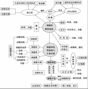 高中生物酒精盐酸 高中生物酒精和盐酸的作用