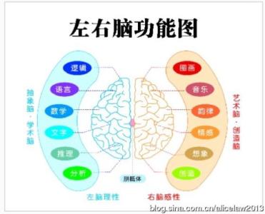 图像记忆训练方法 脑图像记忆的训练方法