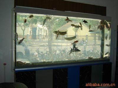 有机玻璃鱼缸 玻璃中型鱼缸价格怎么样？有机玻璃做鱼缸的好处？