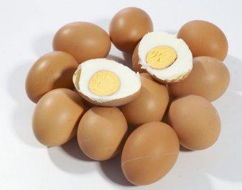 熟鸡蛋和生鸡蛋旋转 为什么熟鸡蛋能够立起来旋转