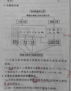 高一生物《细胞的增殖》课堂同步练习题