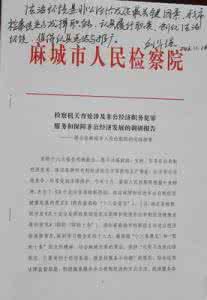 检察院审查报告范文 检察院实践报告范文3篇