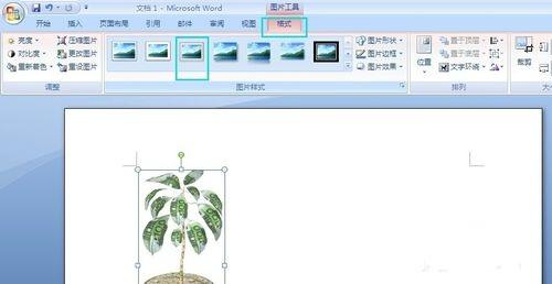 word基本使用技巧大全 实用Word使用技巧大全