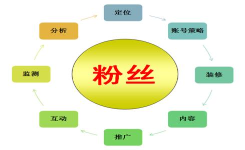 网络营销成功案例分析 营销成功案例和分析