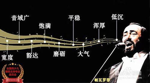 播音主持练声 播音主持练声指南