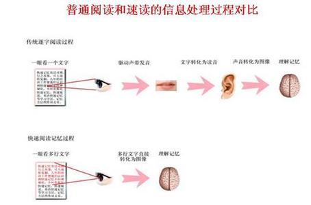 快速阅读记忆法 快速阅读记忆方法