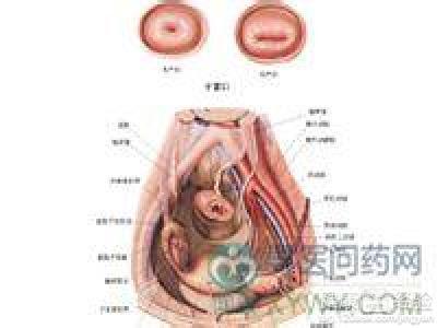 自己治好了我的崩漏 崩漏的病因