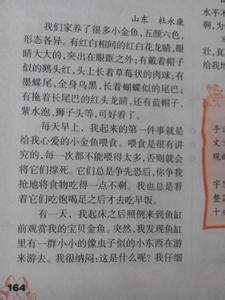 懂得分享作文700字 关于懂得分享的作文