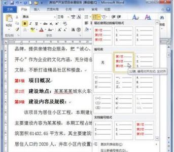 word自定义编号格式 Word2010自定义编号格式的方法