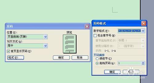 word表格筛选操作方法 word中从某一页开始插入页码的操作方法