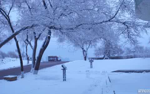 描写雪景的优美散文 描写冬天雪景的散文精选