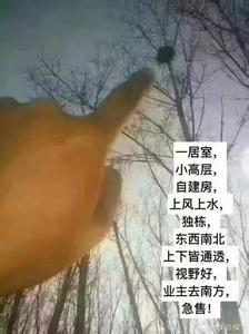 感叹时光流逝的诗句 最新感叹时光流逝的段子