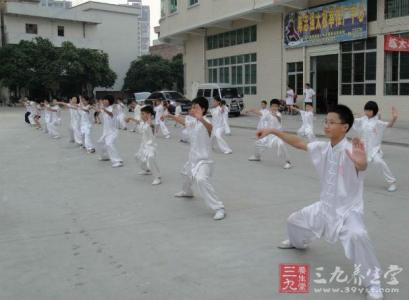 27式杨式太极拳教学 陈氏太极拳27式教学