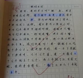 描写大海的诗歌小学生 小学生描写大海的文章