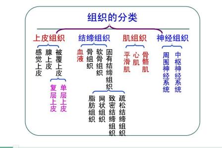 增强记忆力的方法 介绍增强记忆的10种方法