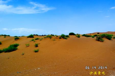 世界上最大的沙漠 世界上最大的沙漠公园在我国内