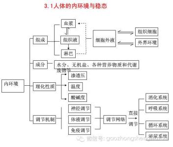 生物必修二知识框架图 生物必修一知识框架图 生物必修一知识网络