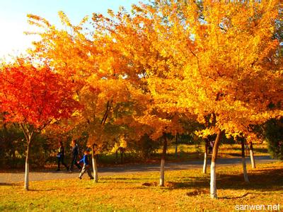 描写景色的优美散文 描写秋天景色的优美散文
