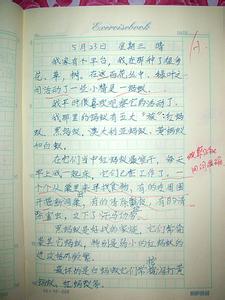 三年级观察作文怎么教 三年级观察作文