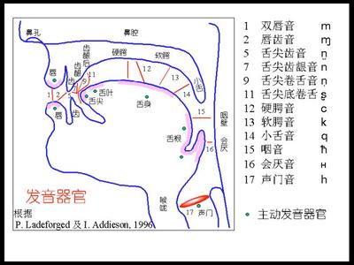 发声训练吐字归音训练 对吐字发声的音质训练的指导