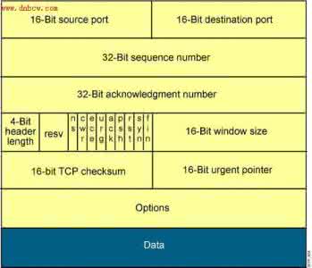 tcp ip协议4和6的区别 电脑tcp ip4协议6协议有什么区别