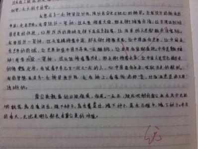 中国梦的作文800字 中国梦的作文