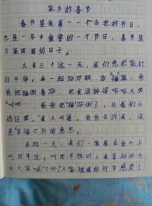 关于春节的作文100字 关于春节的作文300字