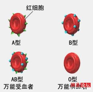 rh血型阳性是什么意思 b型血rh血型是什么意思