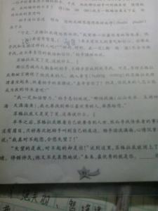 《生活的哲学》读后感 哲学文章读后感