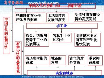 高三历史重要的复习资料