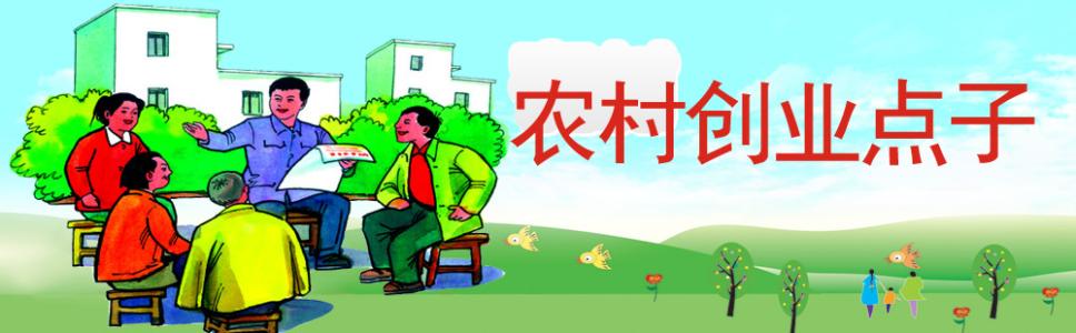 农村创业点子 去农村创业的挣钱好点子