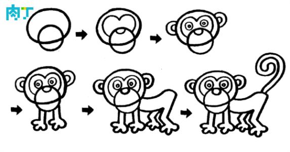 简笔画动物画法教程 狒狒的简笔画画法教程