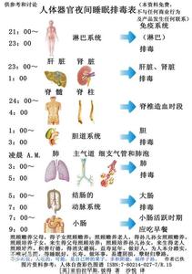 肝脏排毒吃什么最好 肝脏排毒最好的时间是什么时候 肝脏排毒时间表