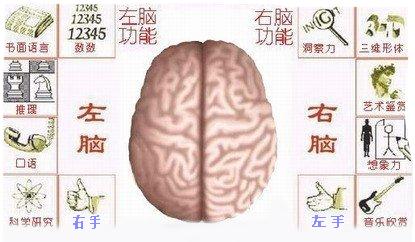 怎样开发右脑记忆力：用左手刺激右脑