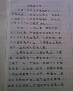 小事见真情作文600字 关于小事见真情的作文600字