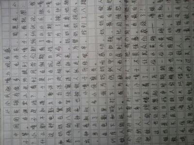 读后感作文300字 关于读后感的作文300字5篇