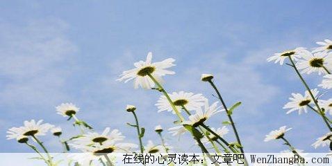 关于人生的优秀文章：岁月之花