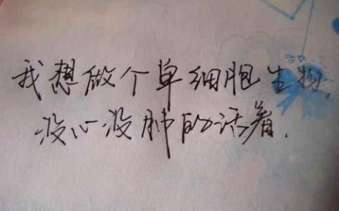 qq签名经典语句 经典禅语的qq签名