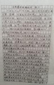 2010年中考满分作文：把影子甩在身后