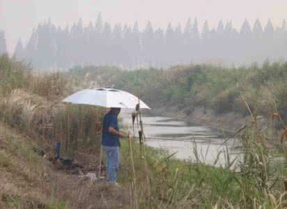 沟渠流水钓鱼的方法 沟渠野钓有什么方法