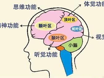 增强记忆力训练方法 增强记忆力的十种训练方法