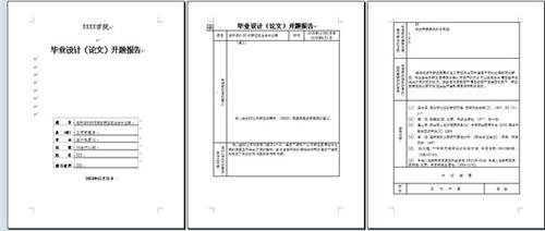 电大会计学本科论文 电大会计学电算化本科毕业论文