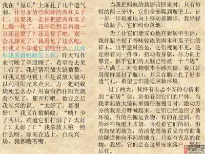 销售励志文章 销售励志文章，关于销售的励志文章