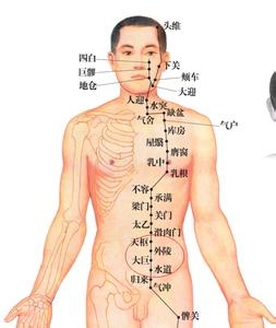 肚脐左边阵痛怎么回事 肚脐左侧疼是怎么回事