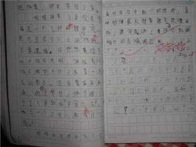 初中作文600字记叙文 初中关于描写夏天的记叙文作文