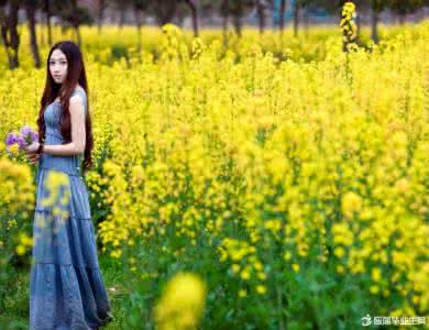 赞美油菜花的抒情句子 关于油菜花的优美句子