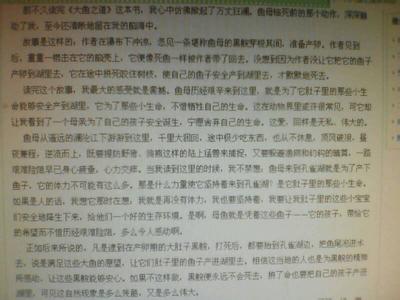 读后感作文500字 读后感的作文500字5篇